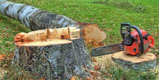 Best Emergency Tree Removal  in Beecher, IL